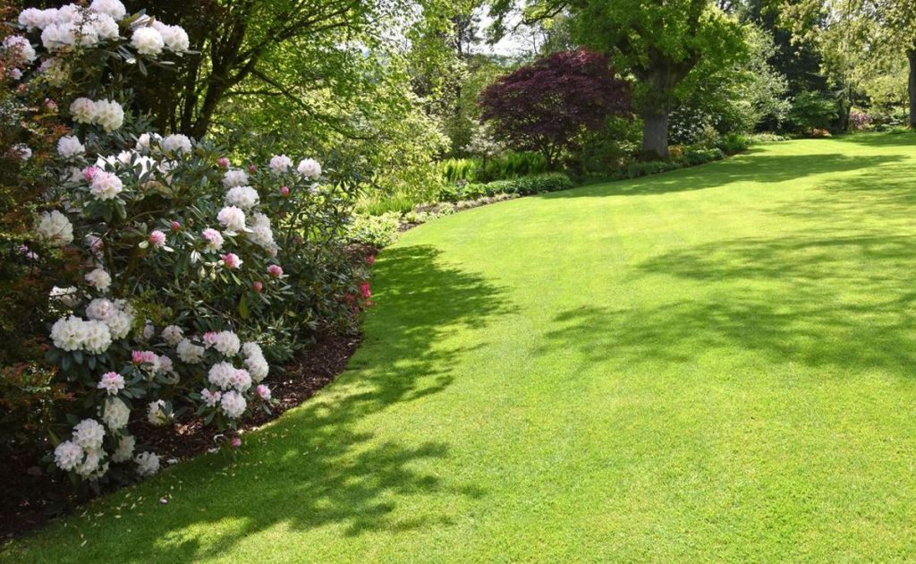 effacer les limites du jardin en longueur