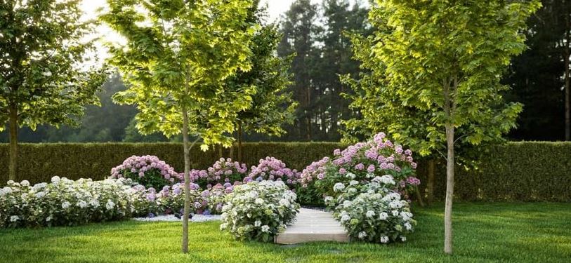 Les 14 plus jolies fleurs pour animer votre jardin durant l&rsquo;hiver