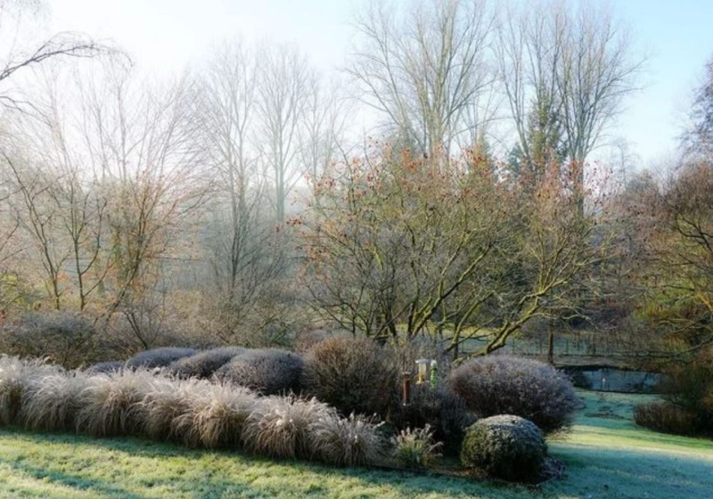 jardin en hiver