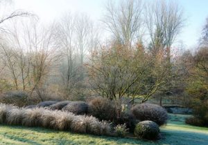 jardin en hiver