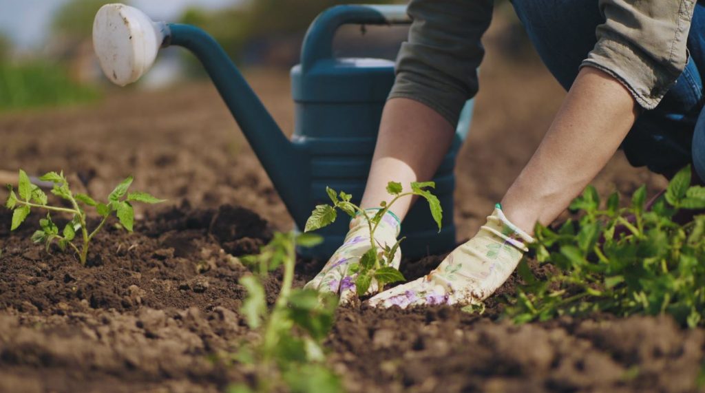 jardinier travaillant la terre