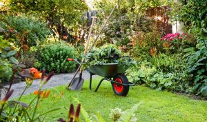 outils indispensables pour le jardin